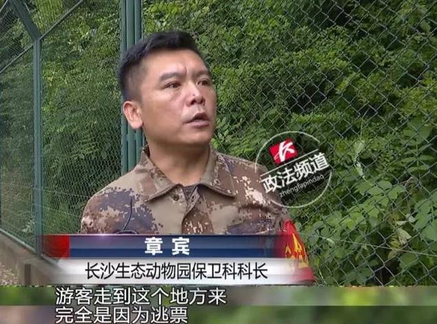 Three fare-dodging tourists risk their lives to get into a zoo for free