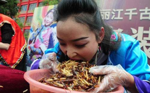 Lijiang holds bug eating challenge