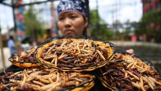 Lijiang holds bug eating challenge