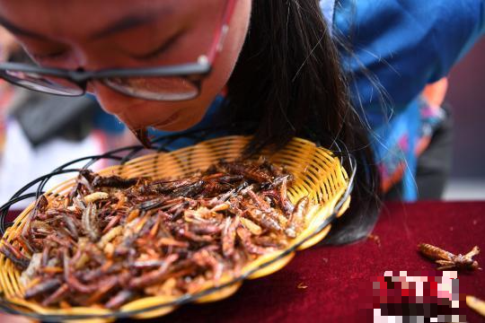 Lijiang holds bug eating challenge