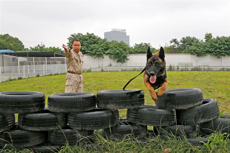 The top dogs on the police force