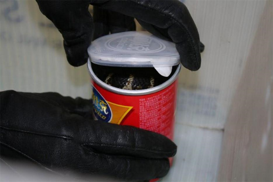 L.A. man accused of smuggling king cobras in potato chip cans