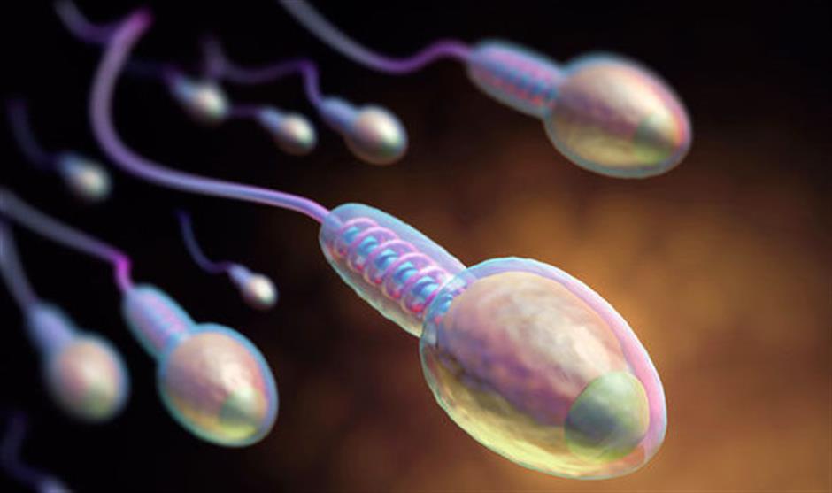 Sperm count declining in the West: study