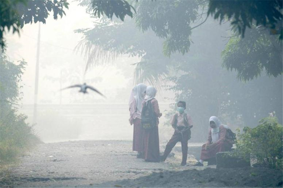 Dozens hospitalised in Indonesia as thick haze spreads