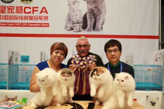 This year's Asia Pet Fair to be bigger and better than ever