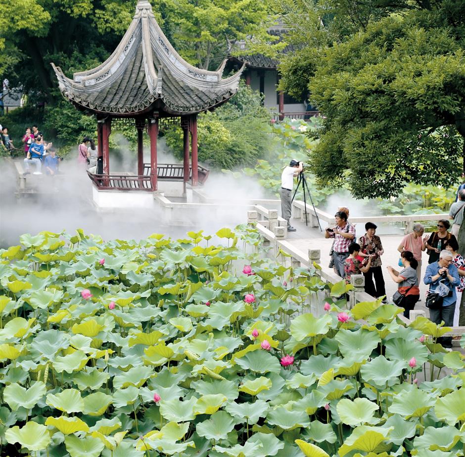 Beauty blooms after 800 years