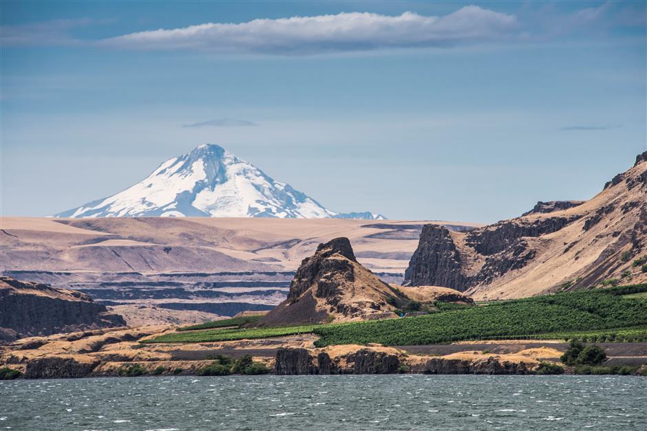 Washington State answers next big wine question