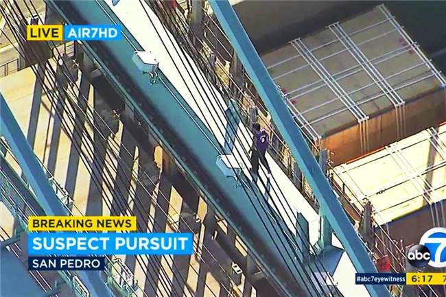 Suspect falls to death from atop crane at Los Angeles port