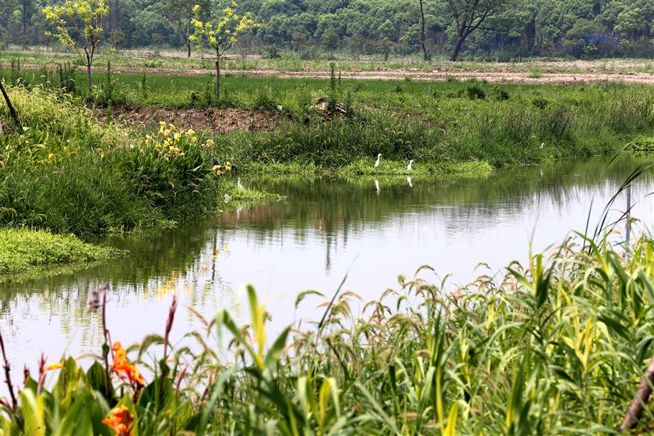 Jiabei Country Park to open in September