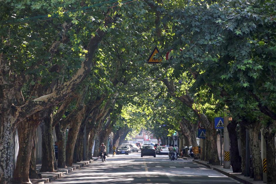 A road, a street and a boulevard