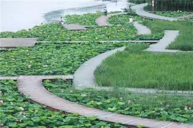 New environmentally friendly footpath to open along Yuanxiang Lake