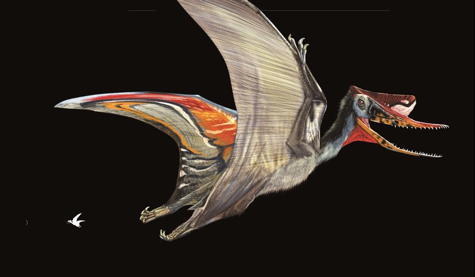 Making art out of passion for dinosaurs