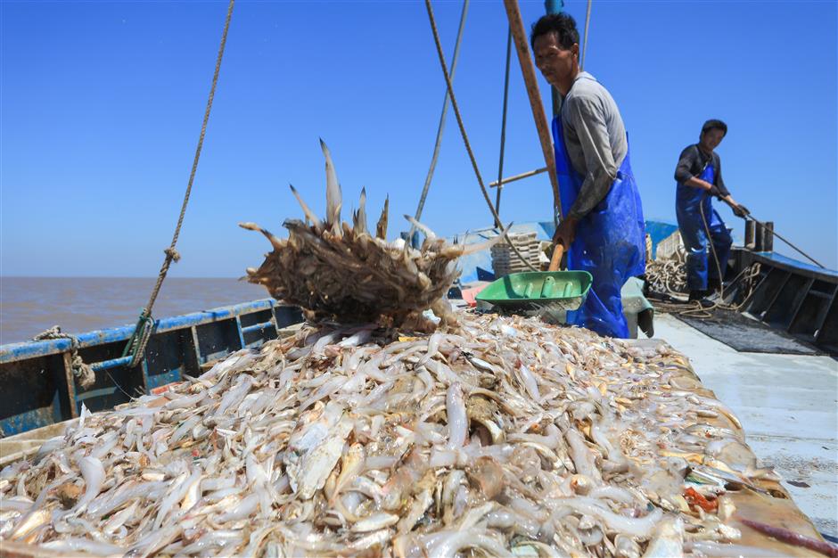 Now's the time for fresher and cheaper seafood