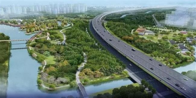 Forest and football will make Pudong greener