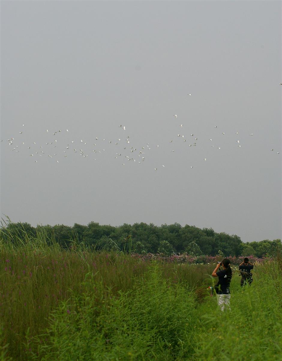 One for the birds: hobby that helps