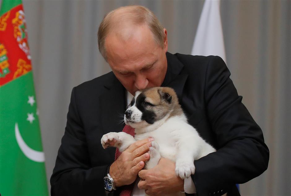 Dog lover Putin gets top breed pup as gift from Turkmen leader