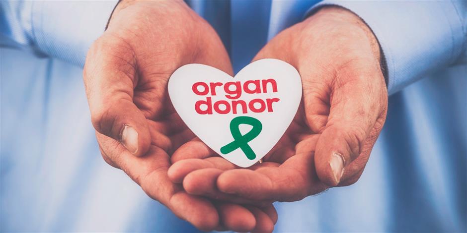 China to train specialists on organ donation