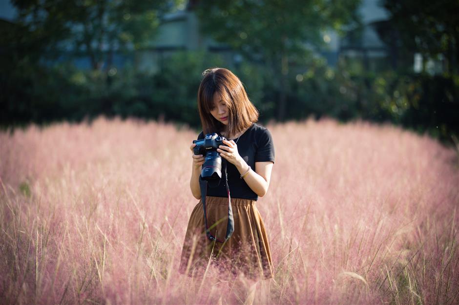 Pink, pink grass of home