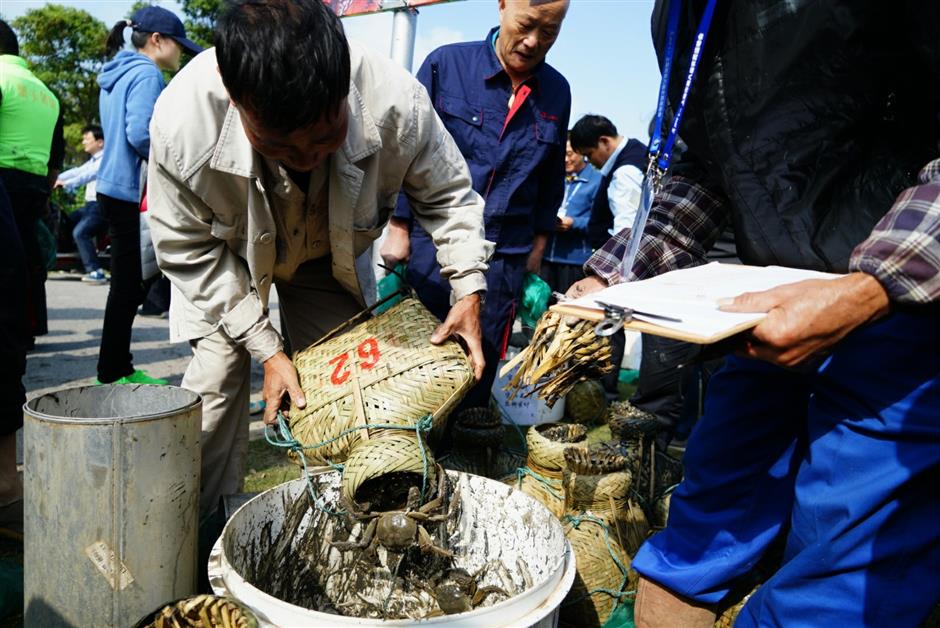 Harvest begins on local hairy crabs