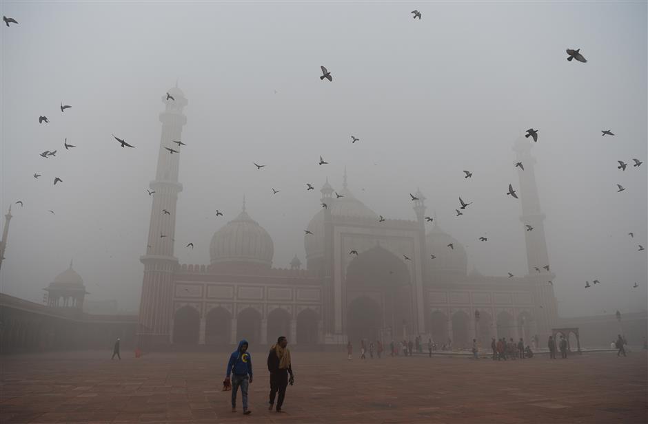 Smog closes all Delhi's schools