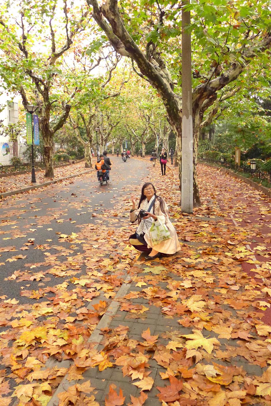 The enchanting world of multi-colored leaves