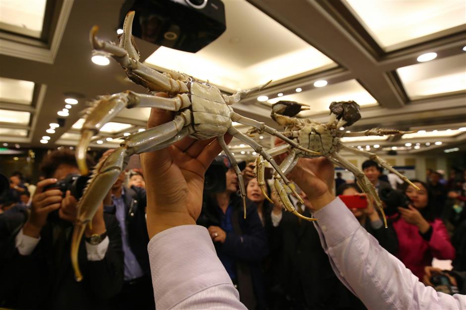 King and queen of crabs crowned