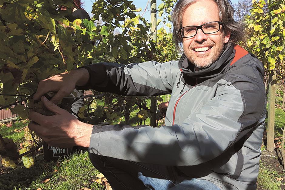 Dutch community raises a glass to urban vines