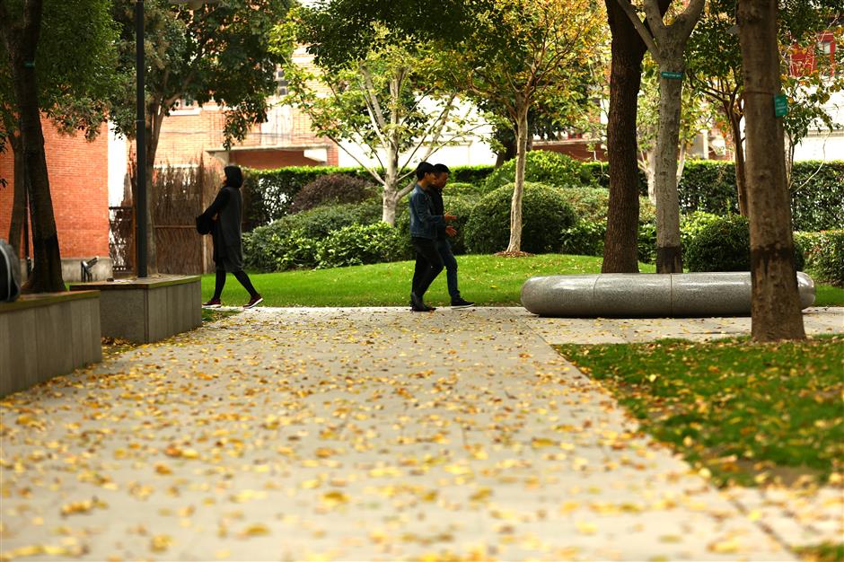 Dust off your scarves: Shanghai is in for a cold snap