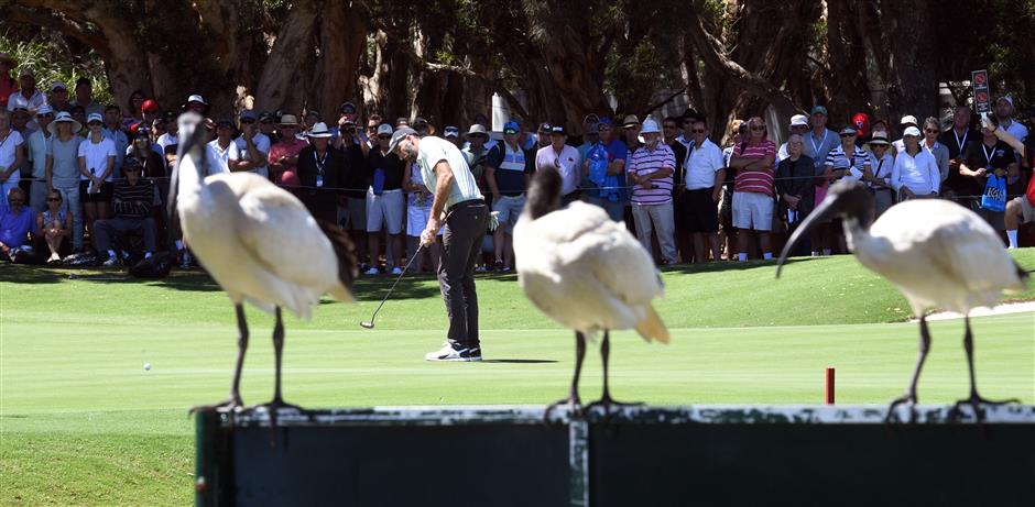 Davis soars, Day lurks, Spieth falters in Australian wind