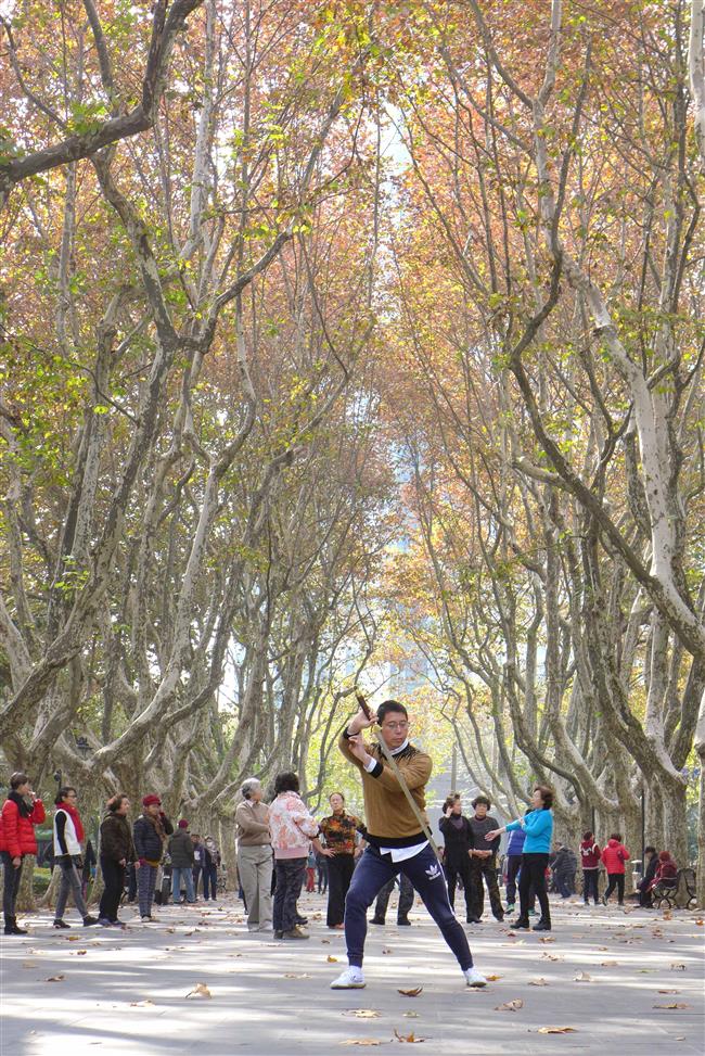 A bit of history and culture at Shanghai parks