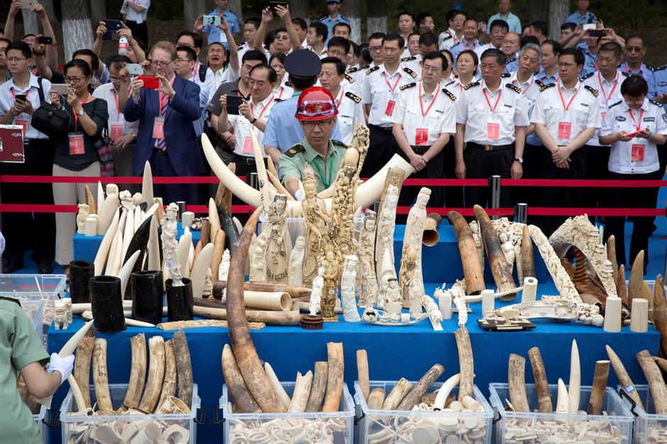 China takes historic step to ban ivory sales