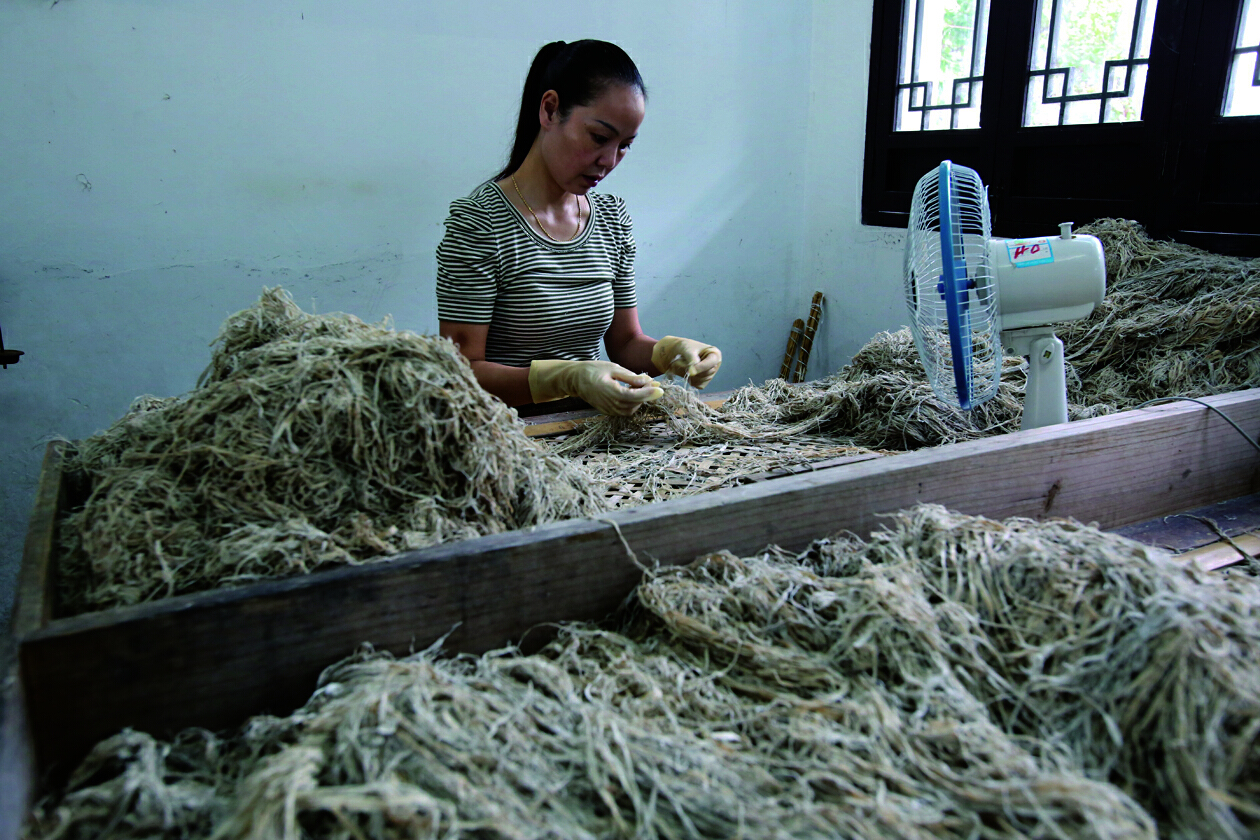 Xuan paper An icon of Chinese culture SHINE News