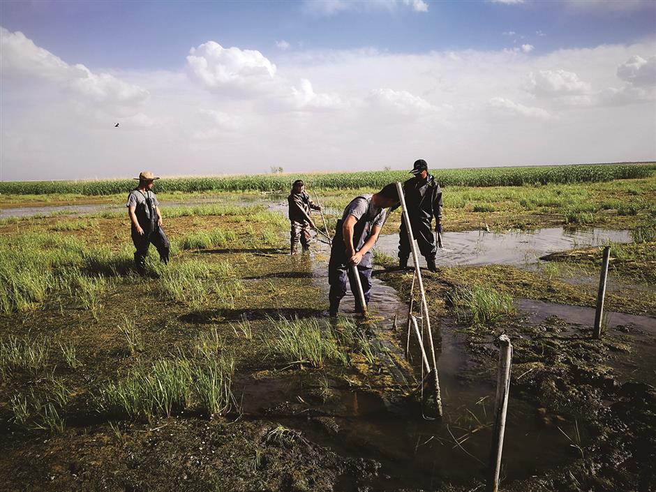 China honors promise to protect nature, but it's a bumpy ride ahead