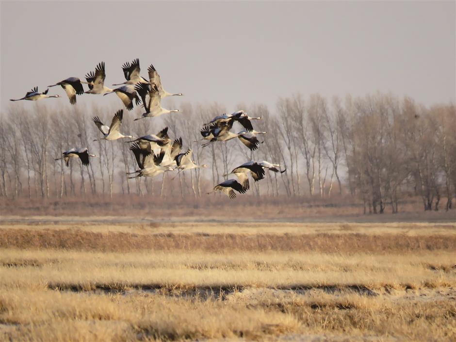 China honors promise to protect nature, but it's a bumpy ride ahead