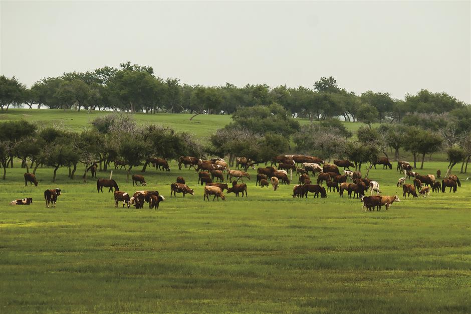 China honors promise to protect nature, but it's a bumpy ride ahead