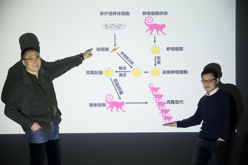 Macaque cloning breakthrough offers hope against human illnesses