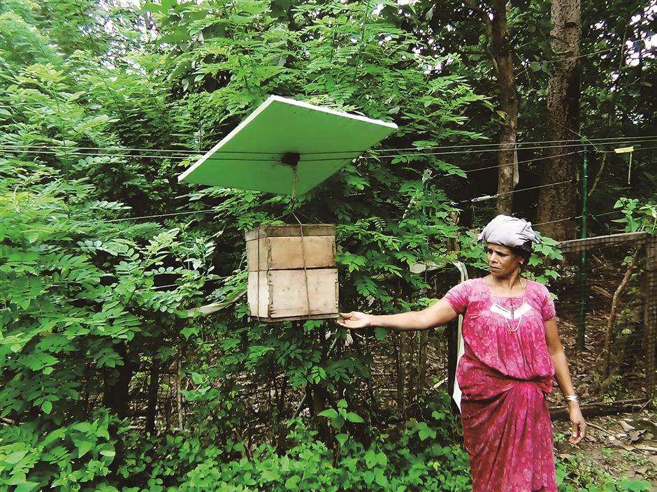 India fights marauding elephants, saves people and crops with a fence of beehives