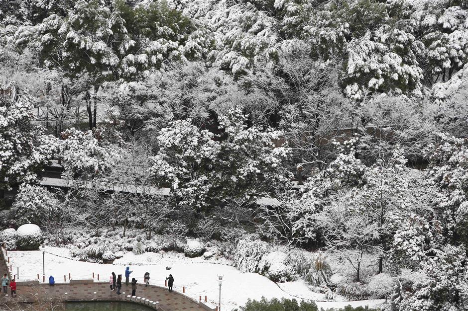 Snow-covered city a rare treat for Shanghai residents