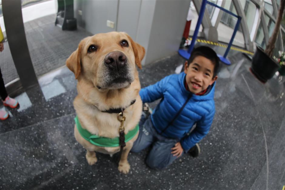 Dog-themed exhibition opens in Shanghai