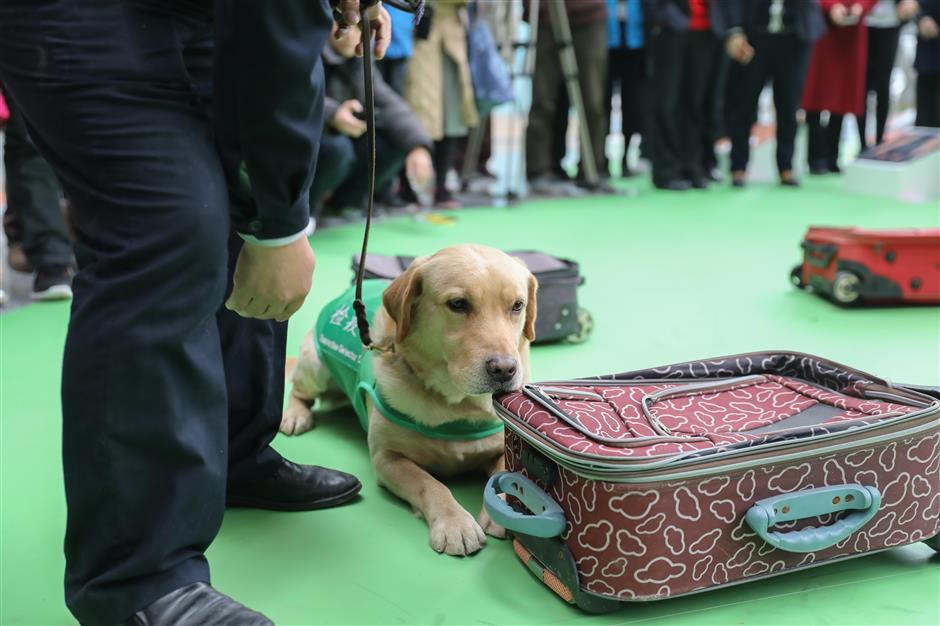 Dog-themed exhibition opens in Shanghai