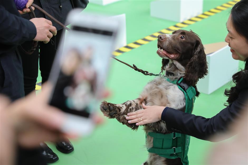 Dog-themed exhibition opens in Shanghai