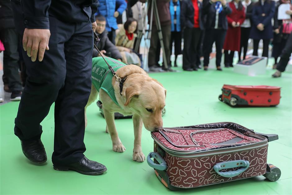 Dog-themed exhibition opens in Shanghai