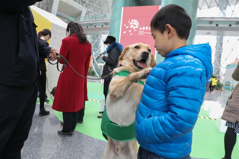 Dog-themed exhibition opens in Shanghai