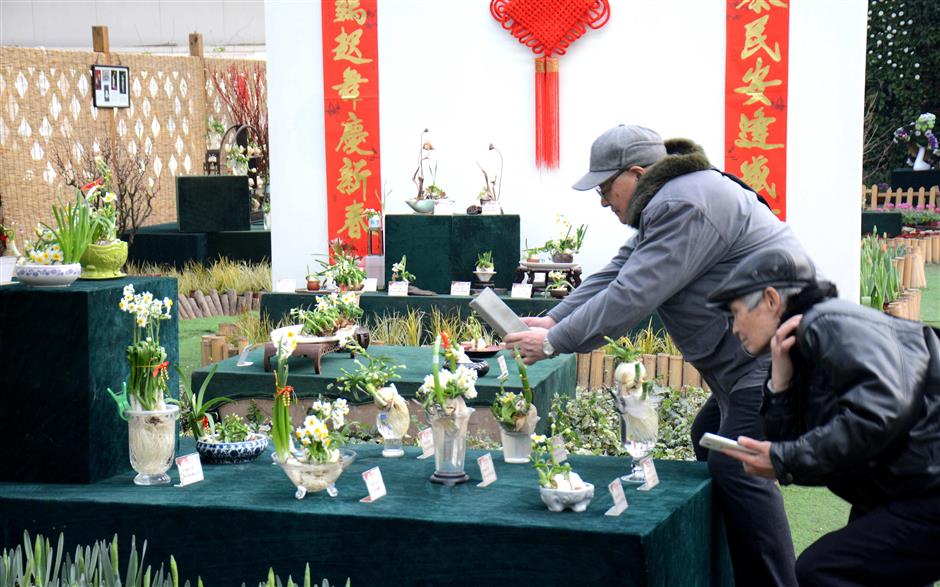 Cultural bonanza during Spring Festival holiday