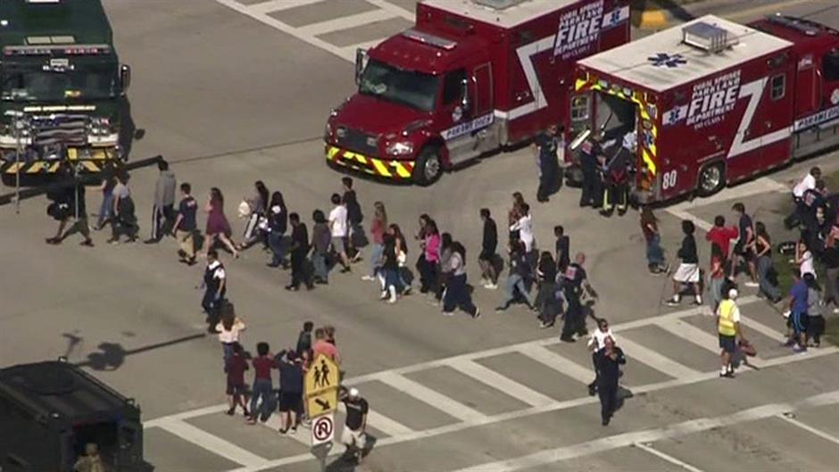 Ex-student kills 17 in shooting spree at Florida high school