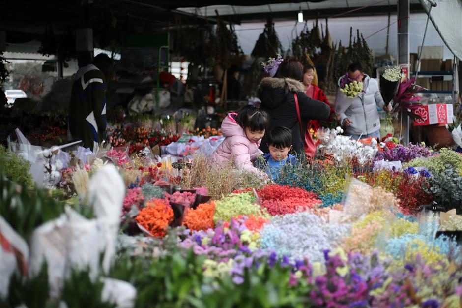 Letting flowers bloom: China's floral revolution