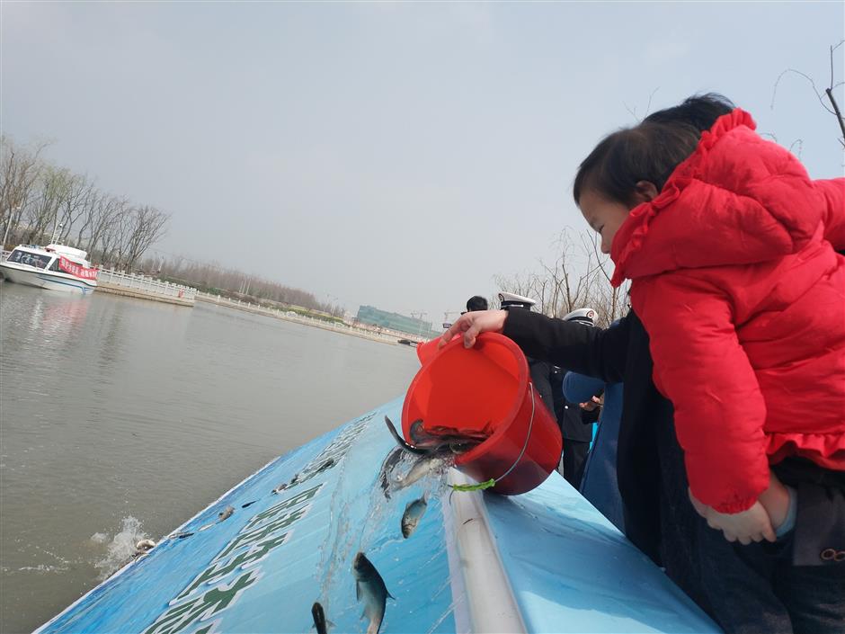 Millions of juvenile fish to be released in local rivers