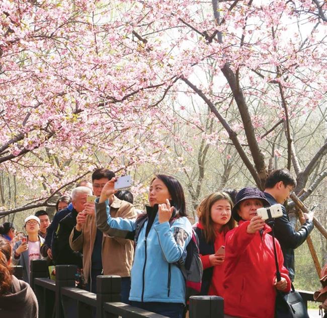 Peak day warning for visitors