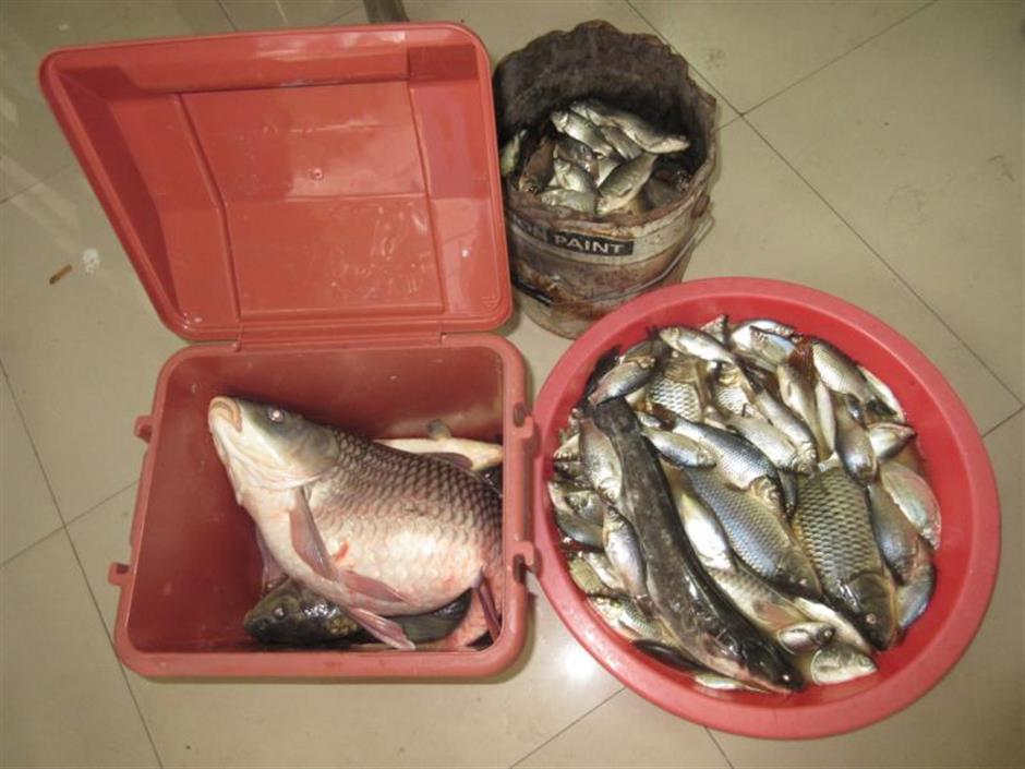 Police crack down on illegal fishing during ban period