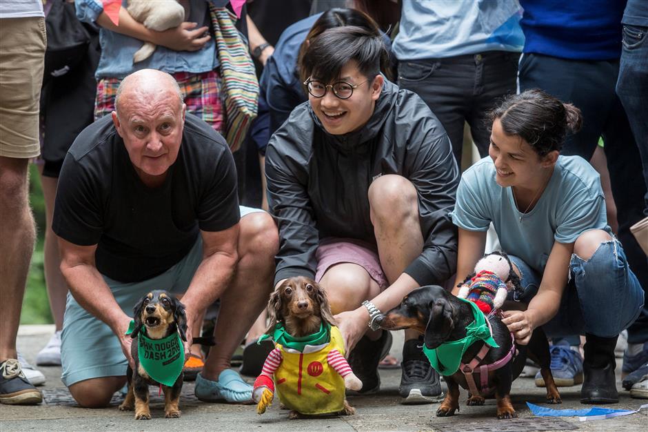 Hong Kong 'doggie dash' raises funds for abandoned pooches